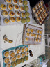 树可硅胶揉面垫食品级加厚加大家用擀和面板烘焙案板砧板面食饺子垫子 实拍图