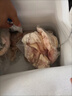 往来白丁 内蒙古牛蹄筋500g净重 新鲜黄牛肉筋牛脚筋牛杂火锅烧烤食材生鲜 实拍图