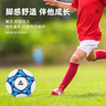 匹克足球5号成人儿童中考标准世界杯专业比赛训练青少年小学生蓝 实拍图