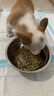 麦富迪狗粮 藻趣儿2.5kg 幼犬中大型小型犬通用（牛肉螺旋藻）金毛泰迪 实拍图