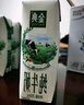 伊利【18天新鲜直达】金典纯牛奶250ml*16盒 3.6g乳蛋白 送礼盒装  实拍图