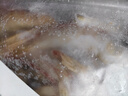 一虾一世界新鲜海捕大虾 青虾小白对虾基围虾羊毛虾 鲜活冷冻 烧烤火锅食材 海捕小白虾带冰 4斤(净重)  3.2斤 实拍图