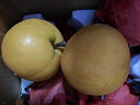 【今年新果】正宗新鲜丰水梨冰糖脆甜薄皮水果非秋月梨沐驰 丰水梨带箱2斤 实拍图