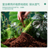 史丹利大块椰砖营养土椰糠养花通用型花土椰壳种菜专用脱盐椰子土 实拍图