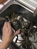 【活蟹】（网兜蟹）泰州兴化大闸蟹生鲜活螃蟹海鲜水产足斤足两 全母蟹2斤装（约10-15只） 实拍图