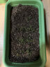 幸悦营养土养花土种菜绿萝多肉肥料通用型盆栽花卉有机种植土壤 种菜土10斤 实拍图