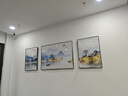 诗六艺家饰客厅装饰画北欧现代简约沙发背景墙挂画三联画大气轻奢壁画晶瓷画 背靠金山（铝合金外框） 镶钻画左右50*70+中间100*70亮面 实拍图