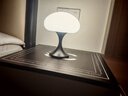 诺克Magcharm原创水母台灯欧美奶油触控灯具床头卧室夜灯装饰氛围灯 暗夜-无极调光 实拍图