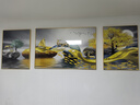 Sixpoetry 客厅装饰画现代简约沙发背景墙壁画轻奢三联晶瓷画大气高档挂画 福禄双收（铝合金外框） 晶瓷画左右60*80+中间120*80亮面 实拍图