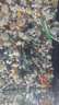 派乐特 鱼缸造景石头水族箱龟缸多肉底砂雨花石热敷鹅卵石子2kg 实拍图
