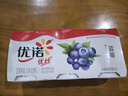 优诺（yoplait）优丝果粒蓝莓味酸奶135gx3杯 家庭分享装 低温酸牛奶 风味发酵乳 实拍图