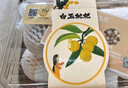 【地标好物】东山白玉枇杷200g（单果15g起） 实拍图