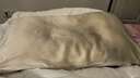 京东京造 真丝枕套 6A级桑蚕丝 丝绸纯色枕头套 48x74cm 单只装 香槟金 实拍图