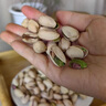 三只松鼠大颗粒开心果500g 罐装坚果炒货 无漂白A++干果零食送礼 实拍图