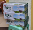 卫岗高钙牛奶 250ml*20盒/中华老字号 实拍图