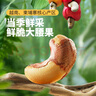 三只松鼠 紫皮腰果500g/袋 坚果炒货干果休闲零食送礼一斤装混发  实拍图