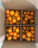黄金玲珑圣女果迷恋樱桃番茄西红柿新鲜黄色水果现摘柿子 3斤（带箱） 实拍图