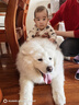 耐威克 全价萨摩耶专用狗粮中大型犬成犬幼犬通用鸡肉味10kg/20斤 实拍图
