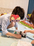 乐高（LEGO）积木拼装机械组系列42167 Mack LR垃圾车不可遥控玩具生日礼物 实拍图