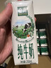 伊利金典3.8g乳蛋白 鲜活纯牛奶250ml 单瓶 实拍图
