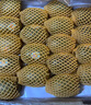 佳沛（zespri）新西兰  阳光金奇异果6粒装 单果约77-103g  源头直发  猕猴桃 实拍图