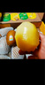 佳沛（zespri）新西兰 阳光金奇异果12粒礼盒特大果单果约122-146g 猕猴桃 水果 实拍图