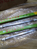 康宝消毒柜灯管红外线发热管杀菌消毒加热管100W-400w通用石英管 27.5厘米300W消毒灯管买一送一 实拍图