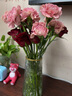 钟爱云南昆明基地直发鲜切花家庭水养插花花束生活鲜花玫瑰康乃馨 10支随机色玫瑰+10支康乃馨 实拍图