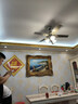 TCL 吊扇灯餐厅风扇吊灯52寸大风力客厅欧式带电风扇的家用风扇灯 铁叶42寸吊杆-变频6档-遥控 实拍图