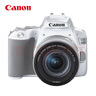 佳能（Canon）EOS 200D2 单反数码相机 18-55标准变焦镜头套装（ 约2410万像素/4K视频短片） 实拍图