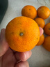 京鲜生 金秋砂糖橘/砂糖桔 5斤 生鲜水果礼盒  实拍图