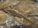 圣农 香煎鸡胸肉净重100g*5片黑椒味 健身代餐 早餐鸡排轻食轻脂 实拍图