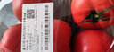 童年味道西红柿约1kg 实拍图