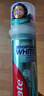 高露洁（Colgate）【孙颖莎同款】欧洲进口密泡美白直立按压泵式牙膏100ml温和去渍 实拍图