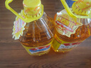 鲁花  食用油 压榨特香玉米胚芽油5L 实拍图