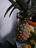 梦茜儿海南金钻凤梨 水果8斤新鲜正宗香水无眼菠萝手撕特产生鲜整箱 3斤 A级大果【1-2个】 实拍图