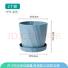 墨斗鱼花盆塑料家用轻奢高级感仿陶瓷树脂阳台多肉带托盘雅典中号蓝色 实拍图
