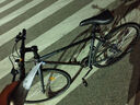 飛鸽公路自行车男女式成人学生700C跑车7变速单速直把赛车城市单车 实拍图