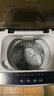 威力（WEILI）洗衣机5.2/5.5/6/7/8/9/10/12公斤全自动波轮洗衣机家用大容量小型出租屋智能洗涤桶自洁 以旧换新 XQB55-5599A【5.5公斤二人世界】 实拍图