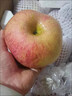 京鲜生 陕西洛川苹果红富士12粒 单果180-220g 生鲜水果 实拍图