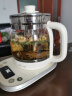 小熊（Bear）养生壶 1.5L煮茶壶烧水壶 可拆卸茶篮 煮茶器电水壶 恒温电热水壶 保温花茶壶 YSH-E15W7  实拍图