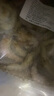 一虾一世界新鲜海捕大虾 青虾小白对虾基围虾羊毛虾 鲜活冷冻 烧烤火锅食材 8-10cm小白虾带冰 4斤(净重)  3.2 实拍图