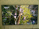 海信电视小墨E5Q Pro 65英寸超画质U+Mini LED 信芯芯片 墨晶屏300Hz 65E5Q-PRO E5NPRO+升级国家补贴 实拍图