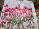 落日玫瑰数字油画diy花卉填色涂鸦手工手绘diy油彩画卧室装饰画 A019郁金香 30*40实木内框+丙烯颜料+画笔 实拍图