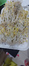 杰凯诺豆芽发芽器发豆芽神器发芽盆专用育苗盘水培种菜盆 绿色带盖 实拍图