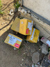 燕京啤酒（YANJING BEER） 12度原浆白啤500ml*12听  整箱装送货上门   苏超啤酒整箱批发 500mL 12罐 实拍图