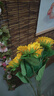 仿真花向日葵假花干花客厅卧室落地摆放太阳花绢花花室内装饰花 黄色 5支 实拍图