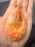 烤虾剥壳即食海鲜年货500g无添加大号对虾干温州特产干货孕妇零食 大号虾干500克（约30只） 实拍图