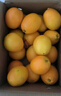 玖原农珍 赣南脐橙现摘新鲜榨汁水果橙子 年货水果礼盒 9斤净重 彩箱优选果150-220g 实拍图