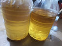 金龙鱼 食用油 非转基因 压榨 一级 纯正玉米油4L（新老包装随机发货） 实拍图